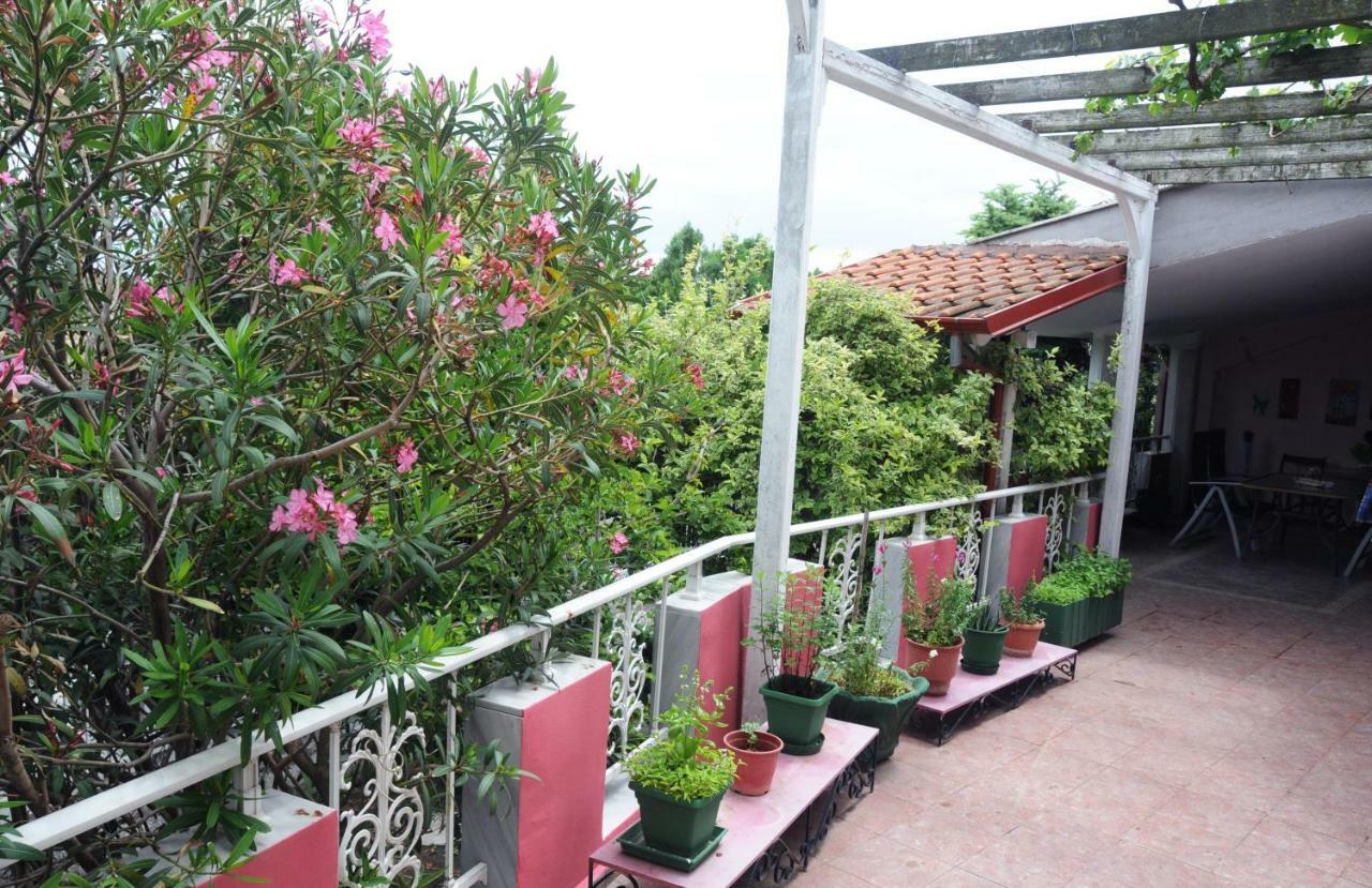 PéllaHouse Of Arts公寓 外观 照片